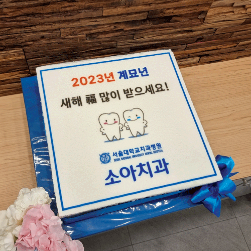 서울대학교치과병원 소아치과 2023년 시무식 (40cm)
