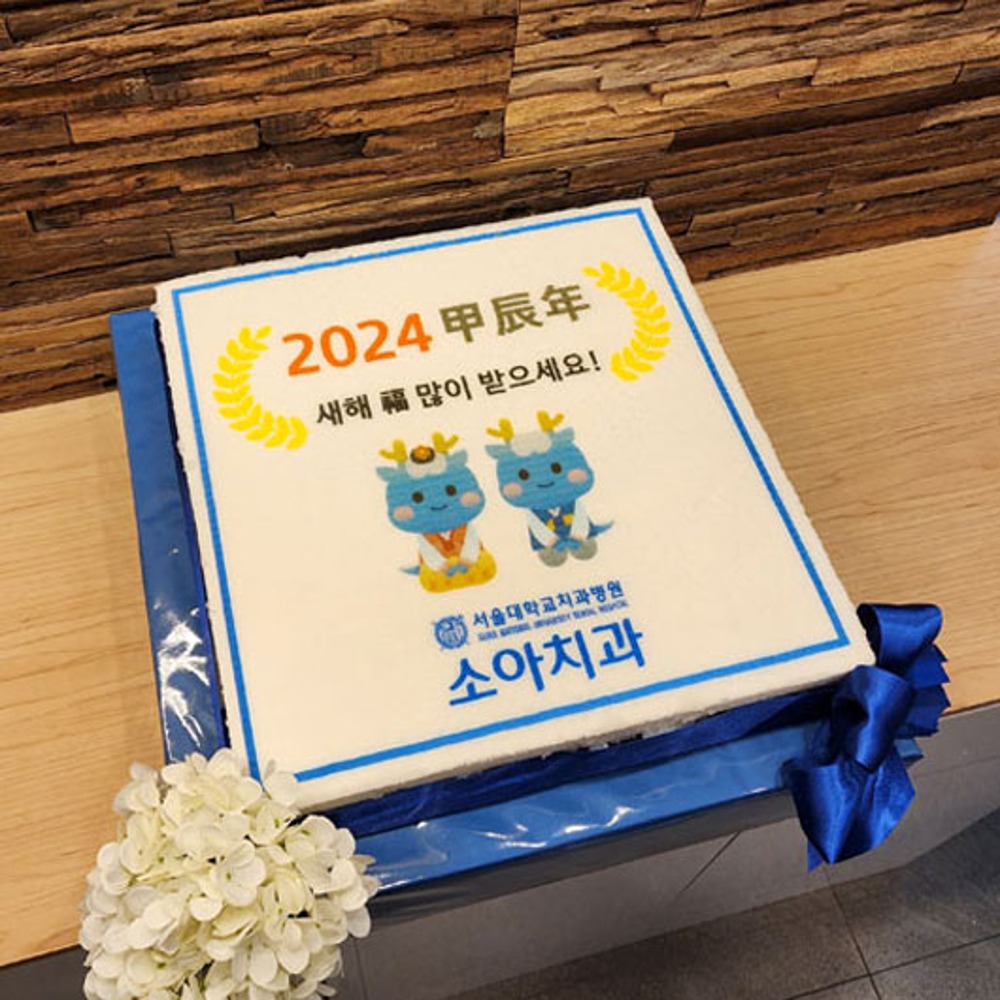 서울대학교 치과병원 소아치과 2024 시무식 (40cm)