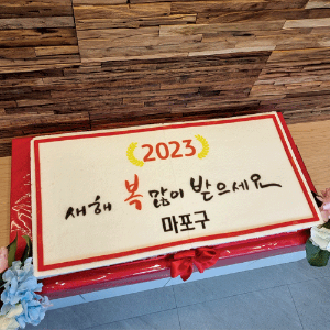 마포구청 2023년 신년회 (80cm)